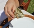 Empanada Verdura